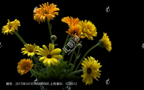 花瓶02