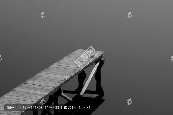 網(wǎng)狀物