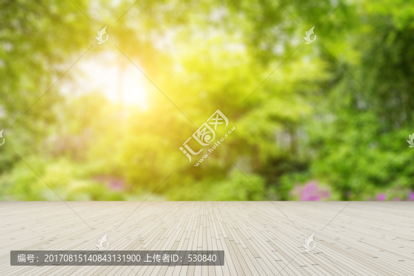 公園綠樹林模糊背景