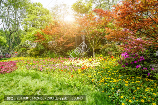 花園花壇