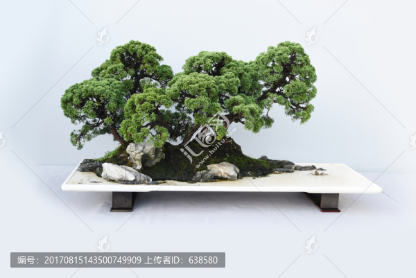 盆景盆栽