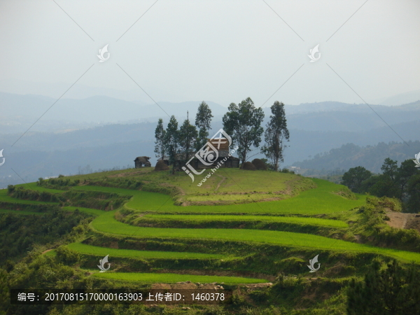 自然風(fēng)景