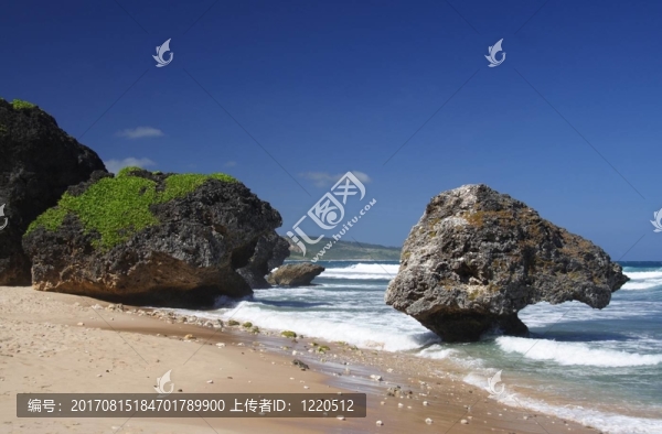 熱帶海灘