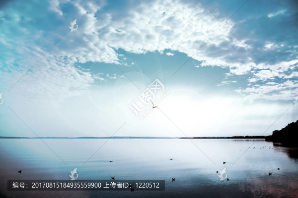 向太陽