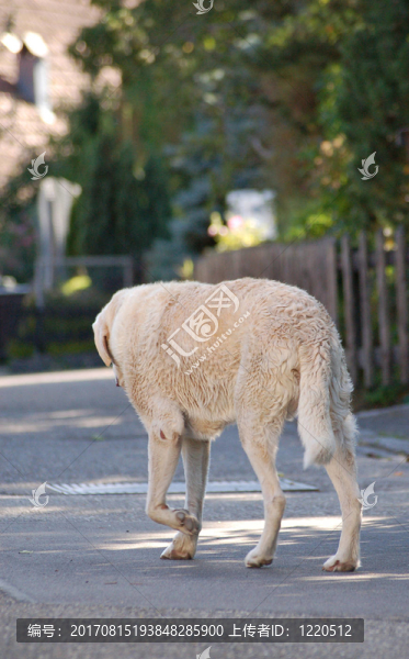 走我的路