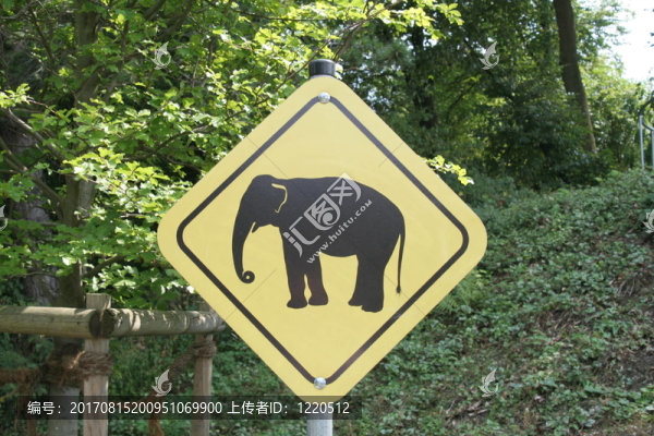 wildwechsel特殊