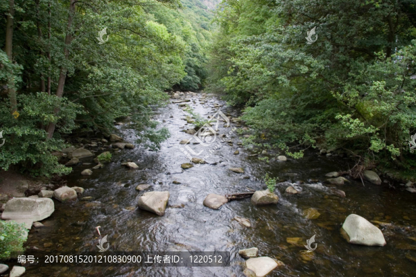 bodetal