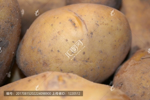 土豆2