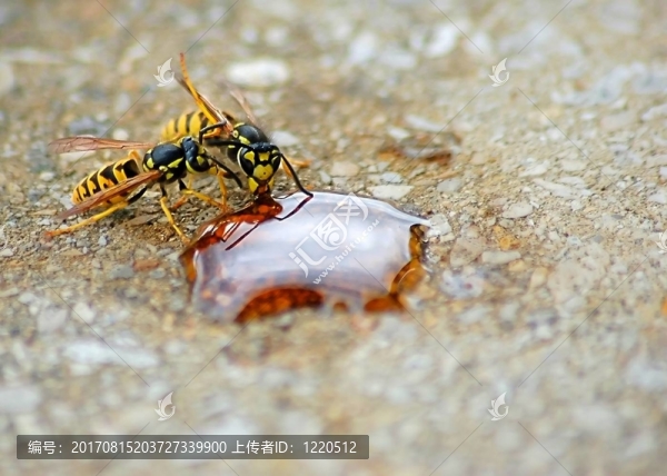 一餐