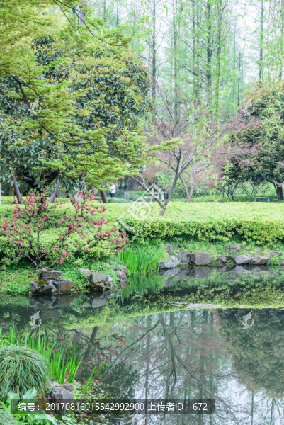 西湖晨景