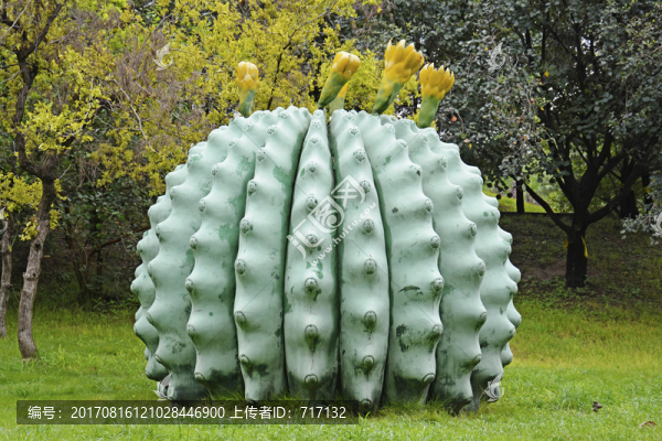 仙人掌模型