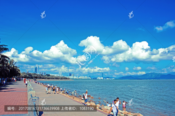 紅樹林,深圳灣