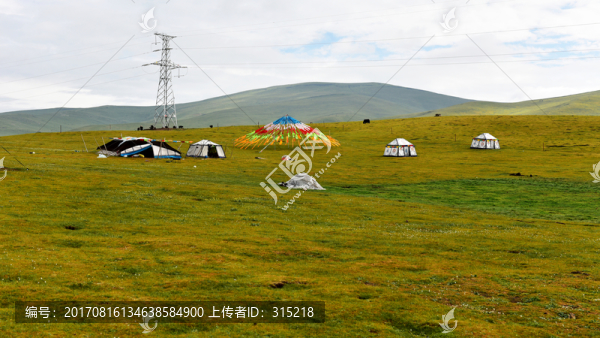 青海草原風(fēng)光