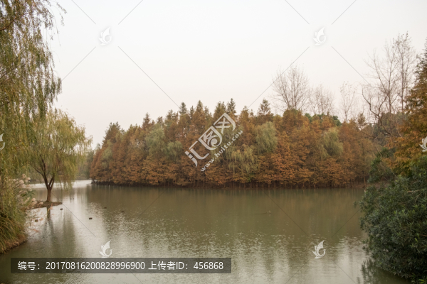 世紀公園,秋景