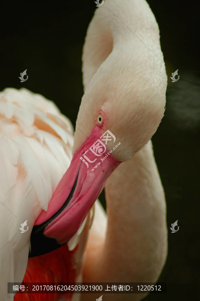 春季保健