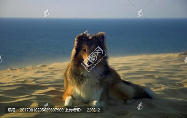 海灘