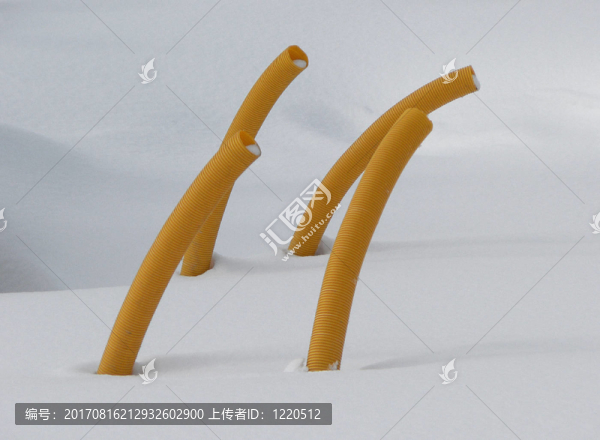 通心粉