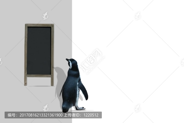 企鵝和圖表描述