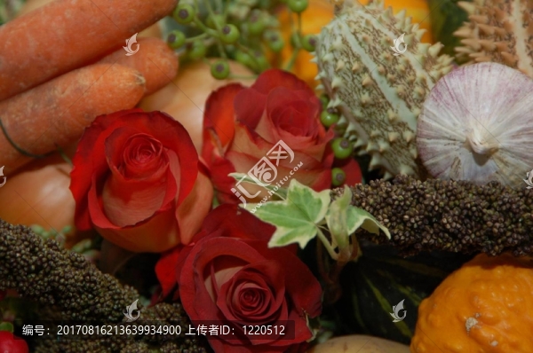 美麗的