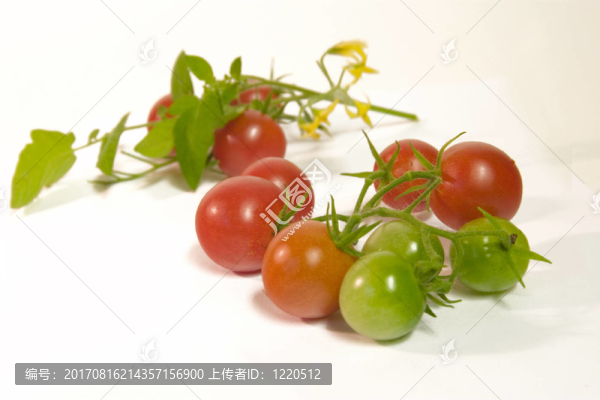 雞尾酒西紅柿