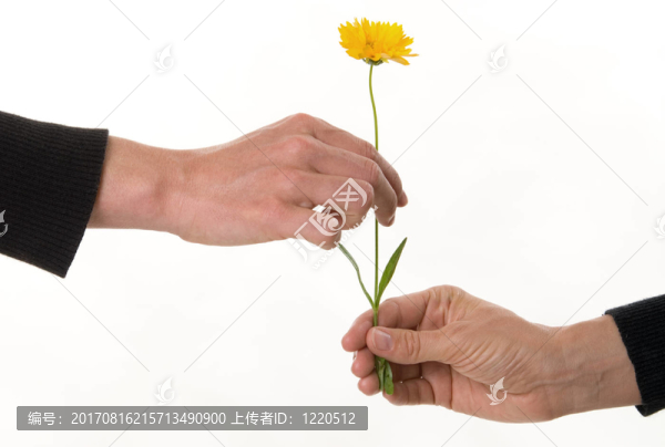 友誼的象征