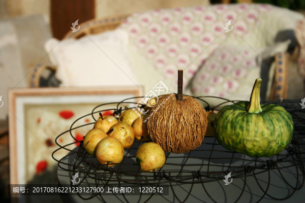 生命還在