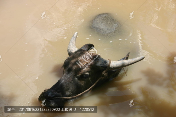 假期