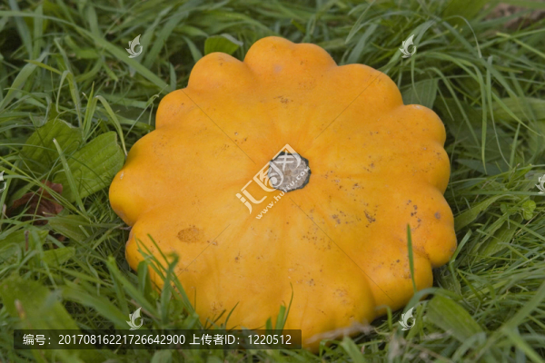 維生素
