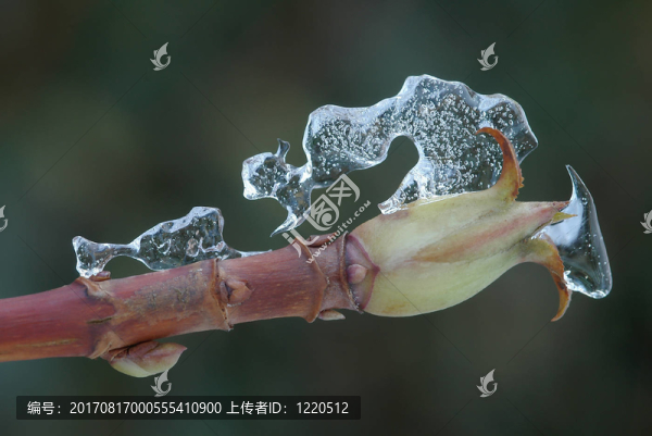 擱置