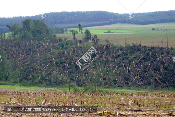 windbruch