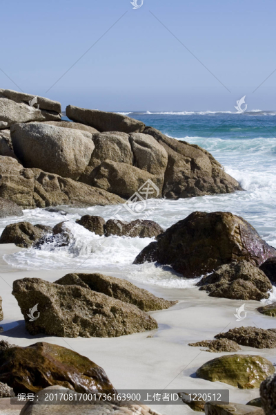海