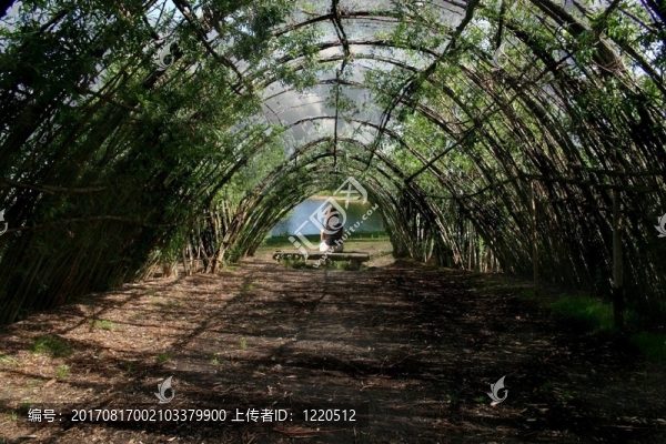 隧道松弛