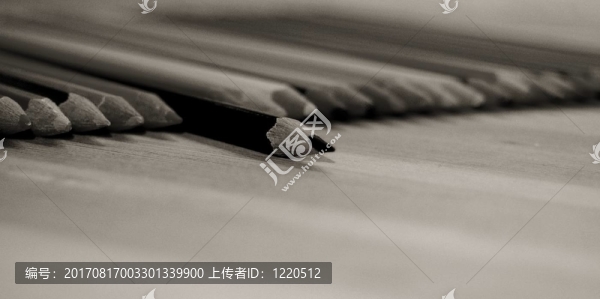 領(lǐng)導(dǎo)和指導(dǎo)