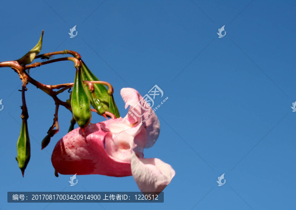 洞口