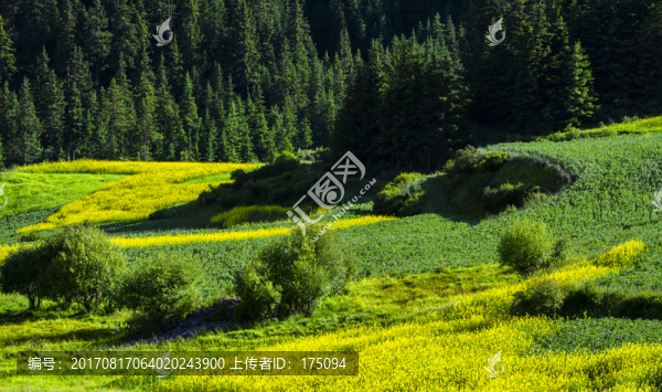 扎尕那風(fēng)光