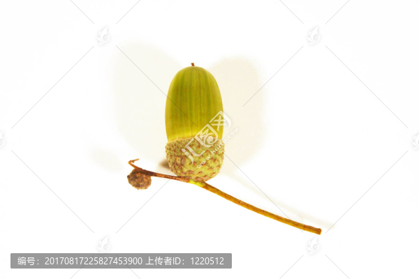 可選的