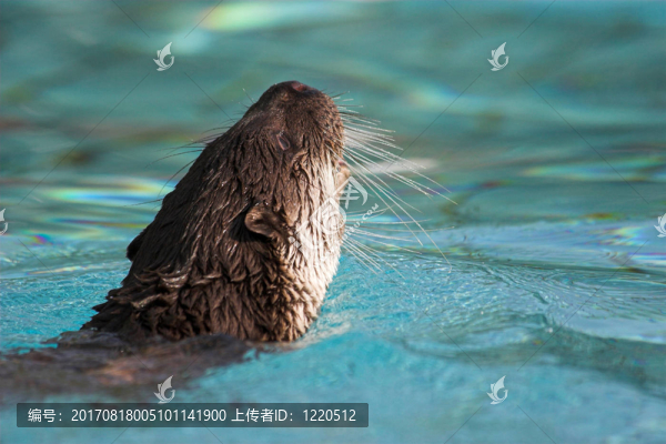 水域