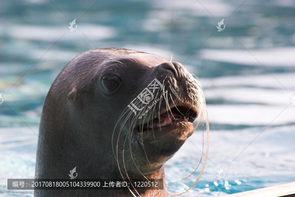 密封