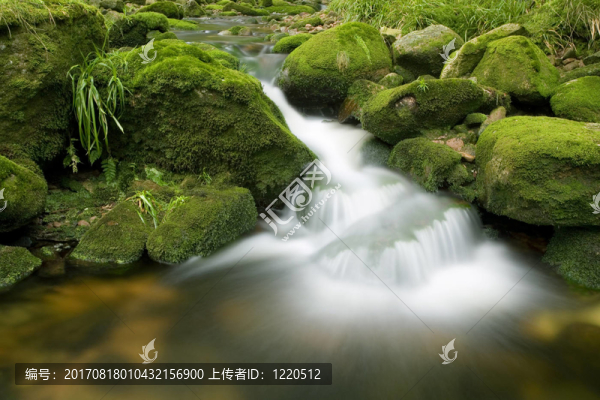 激流