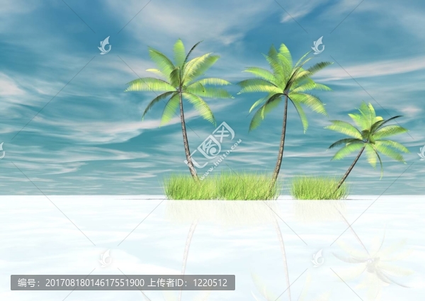 海上棕櫚樹