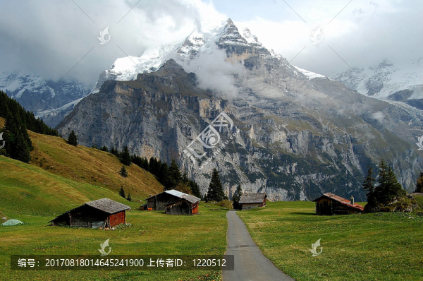 山