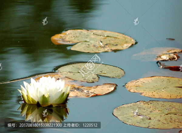 藍(lán)色的