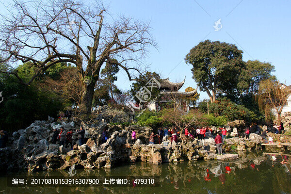 蘇州,獅子林,園林,園藝