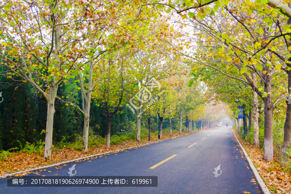 秋天的路