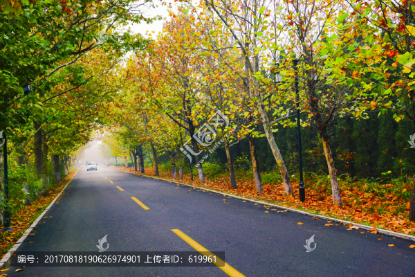 秋天的路