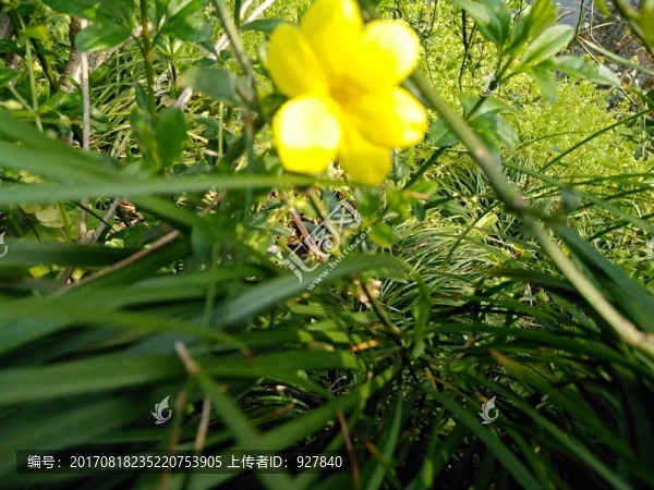 杭州西湖