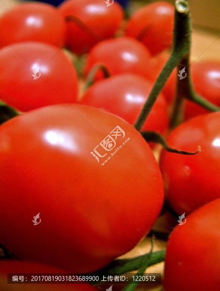 西紅柿鏈