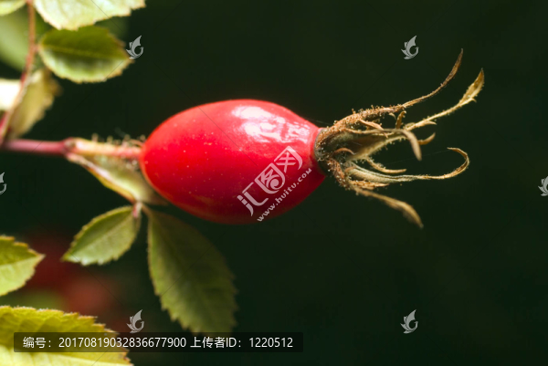 有孤峰05