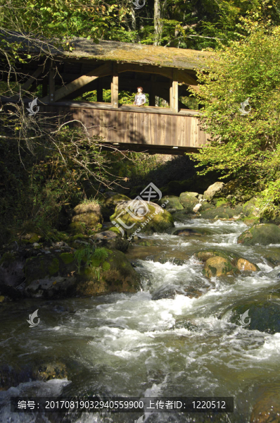 waldbach