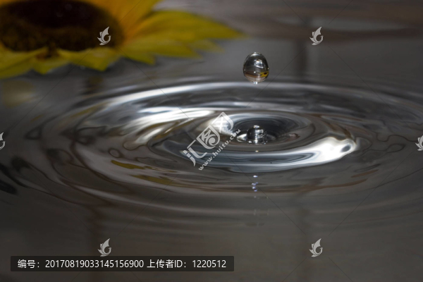 水滴葵花